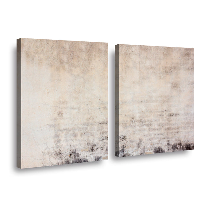 Canvas duo Desvanecido