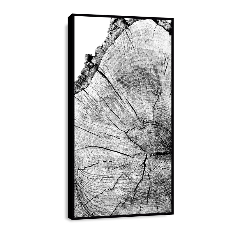 Canvas Pulso del Bosque