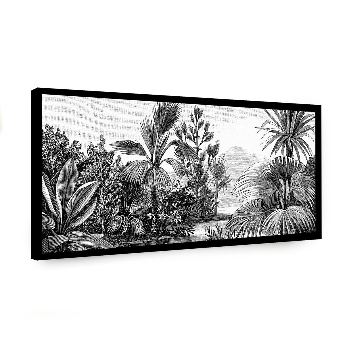 Canvas Oscuridad Natural