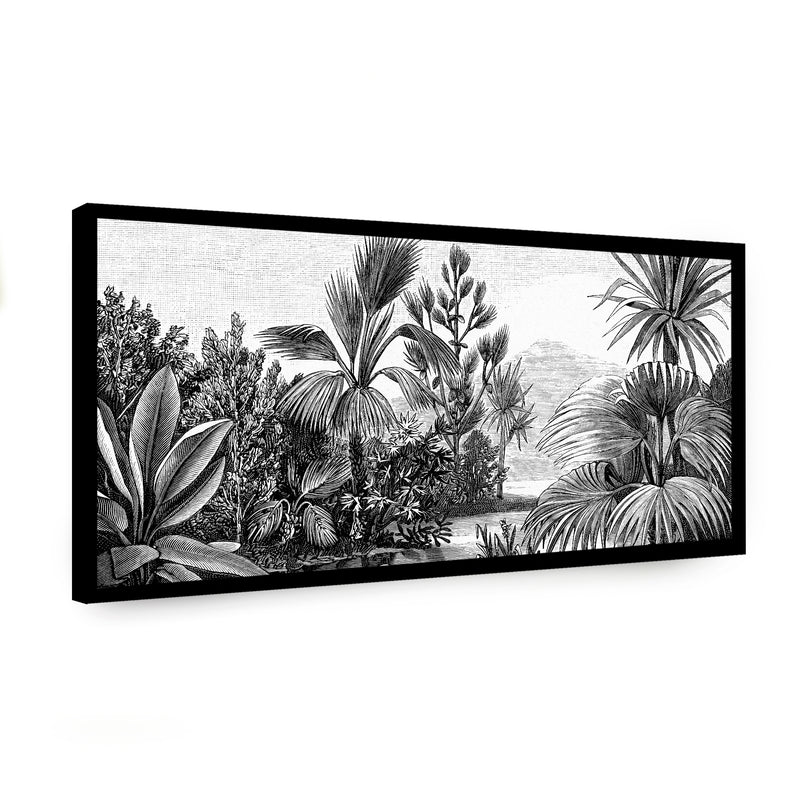Canvas Oscuridad Natural