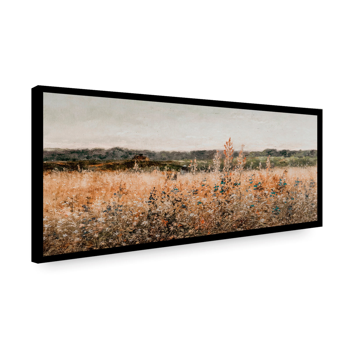 Canvas Campestre