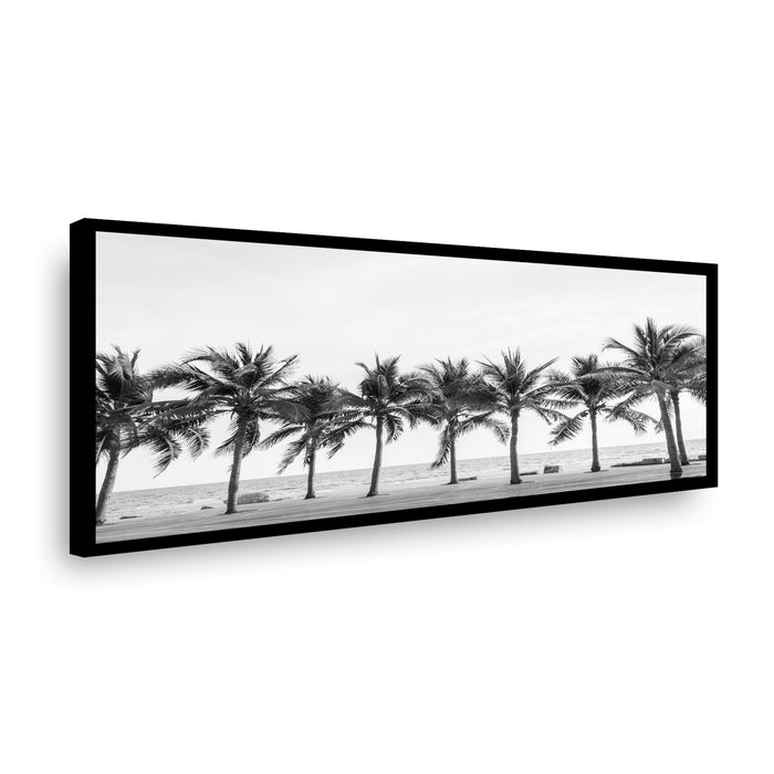 Canvas Palmas