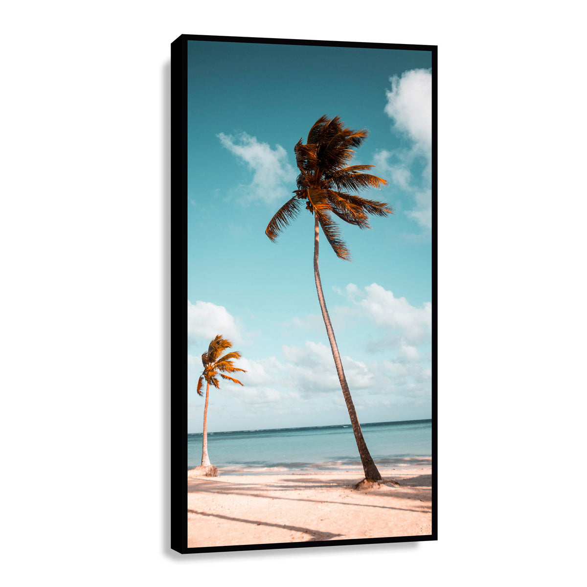 Canvas Palmera Retro