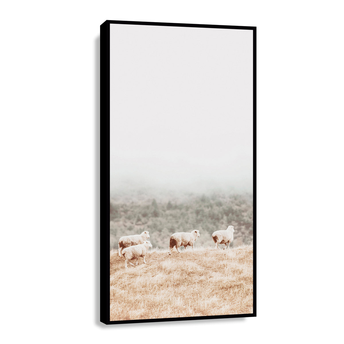 Canvas Encanto Vintage II