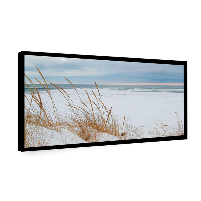 Canvas Blanca Arena