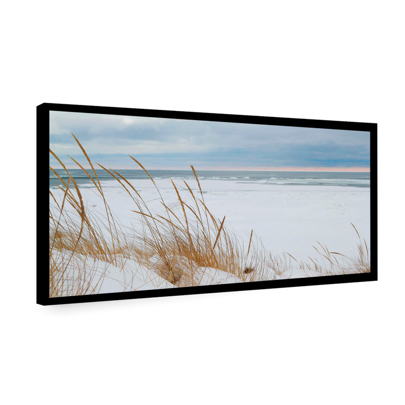 Canvas Blanca Arena