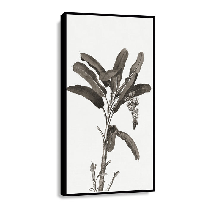 Canvas Boticarie I