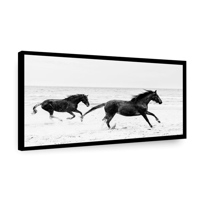 Canvas Trote