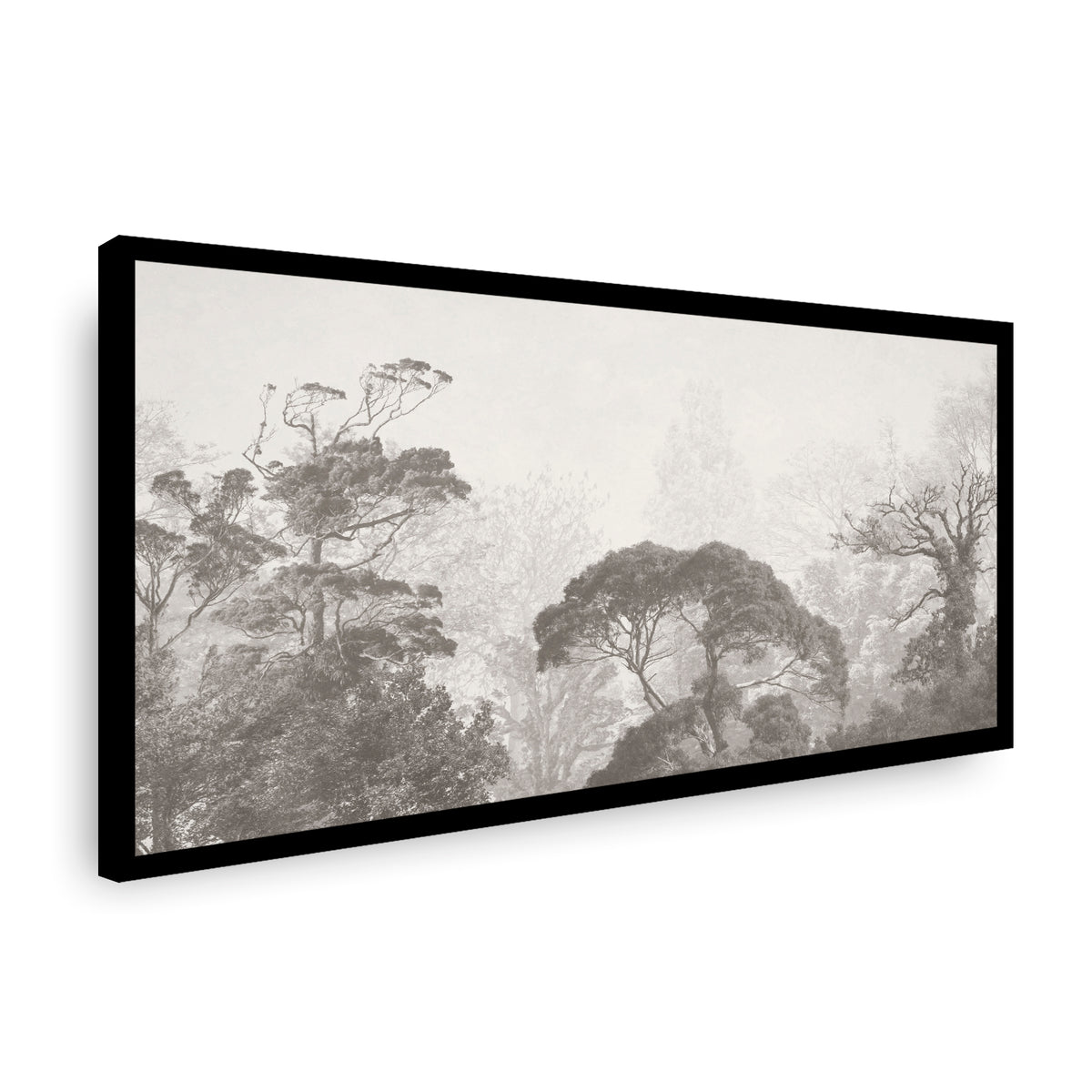 Canvas Sombras Del Pasado II