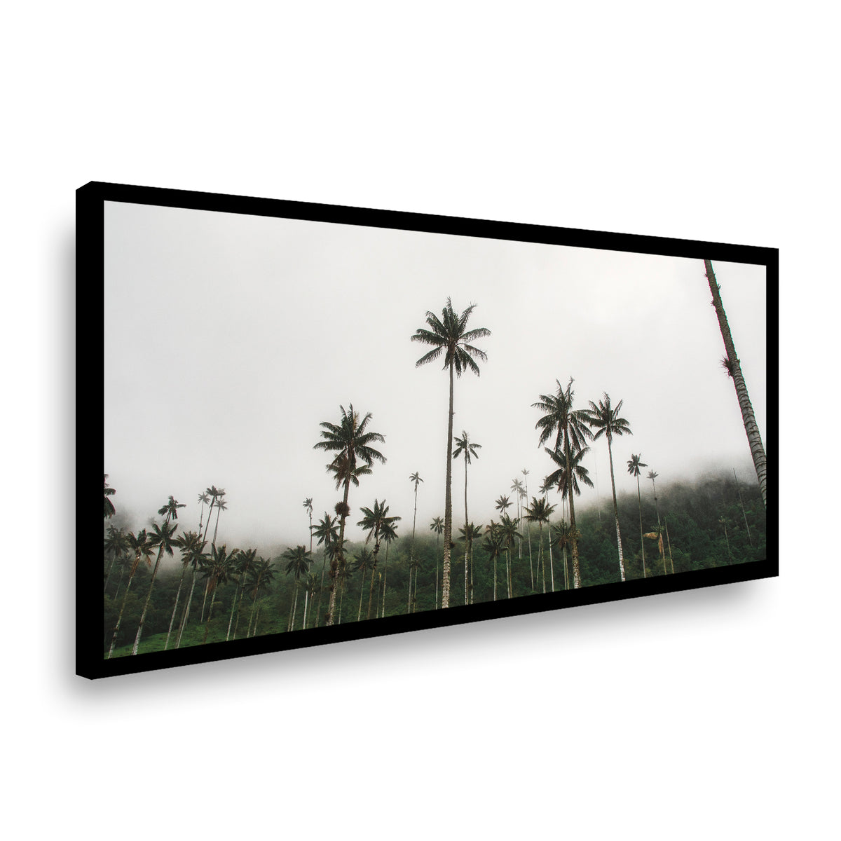 Canvas Horizonte Verde y Celestial III