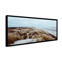 Canvas Paseo