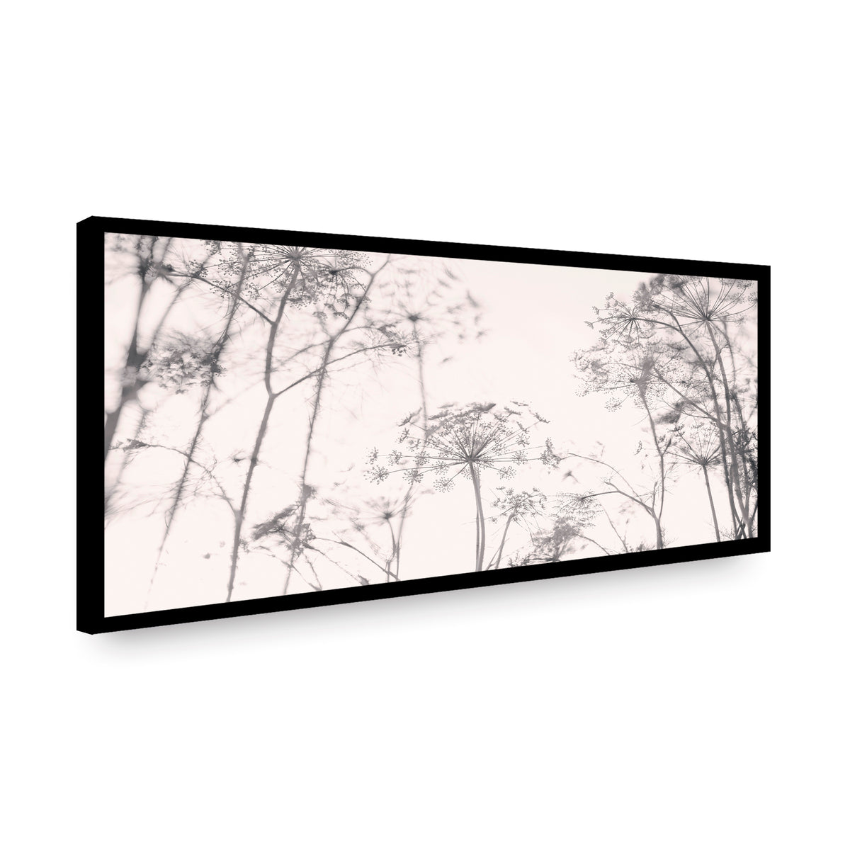 Canvas Diente de León I