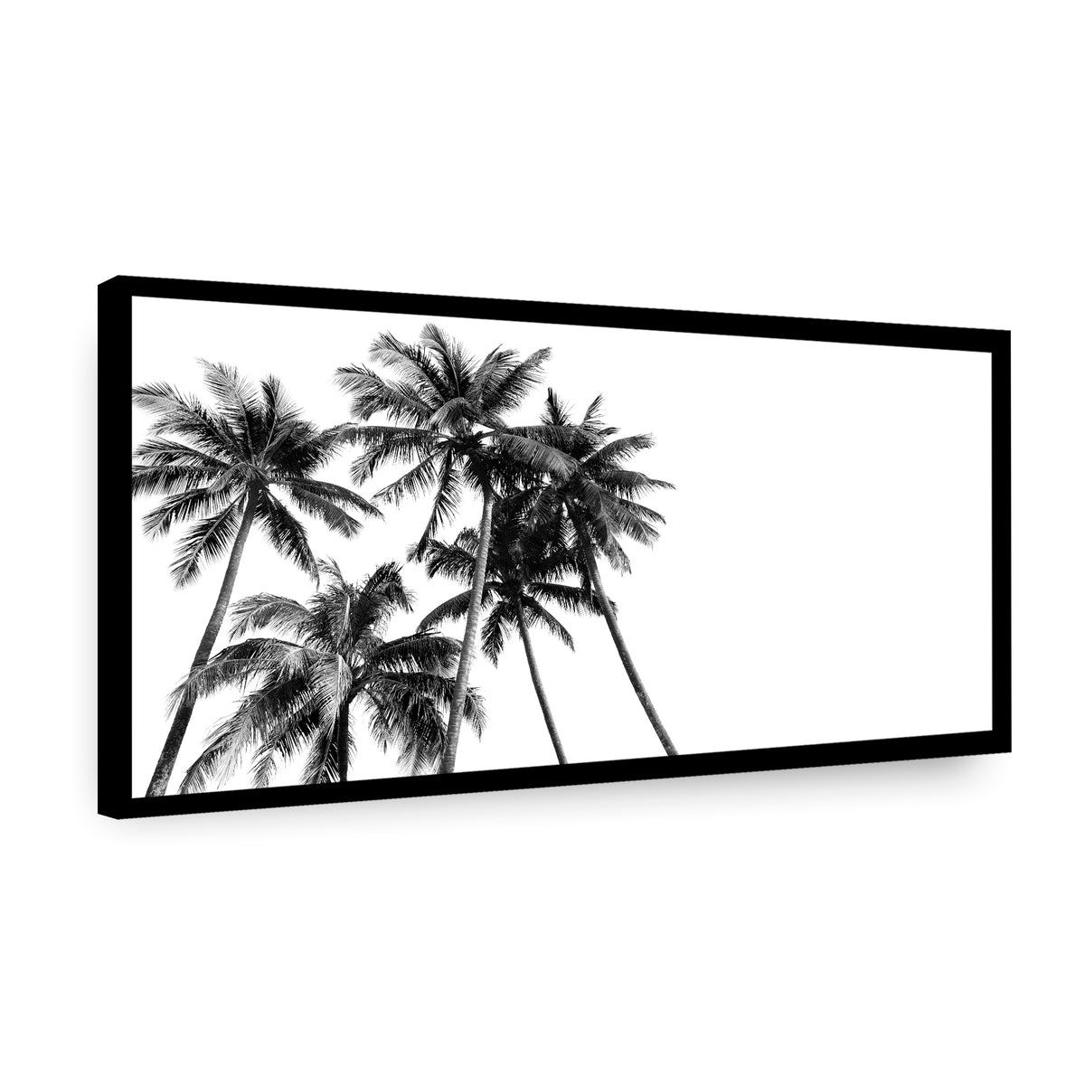 Canvas Palmera Nocturna