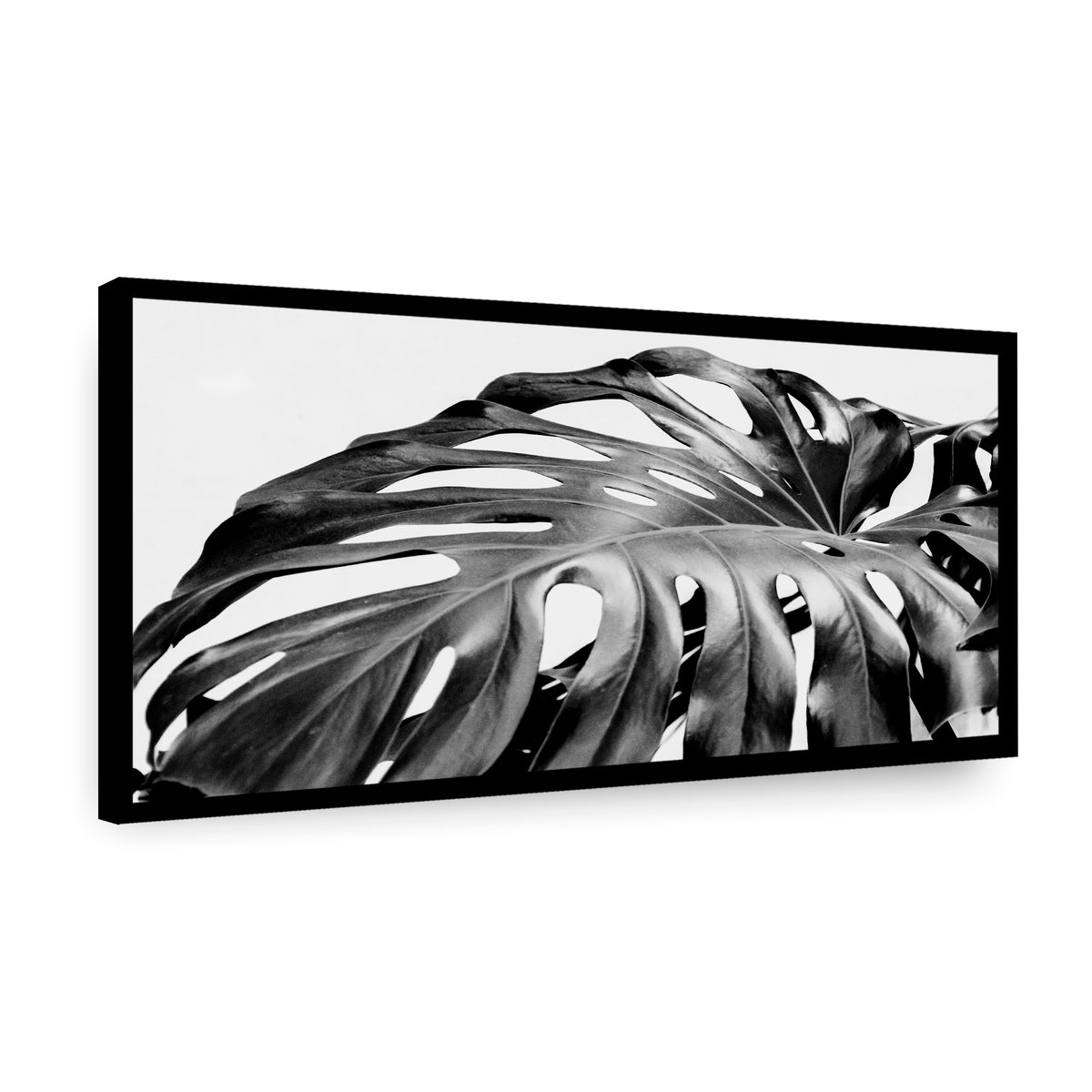 Canvas Monstera BN