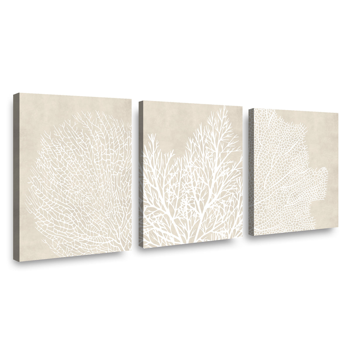 Canvas Trio Breathin