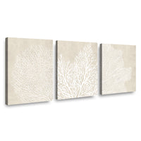 Canvas Trio Breathin