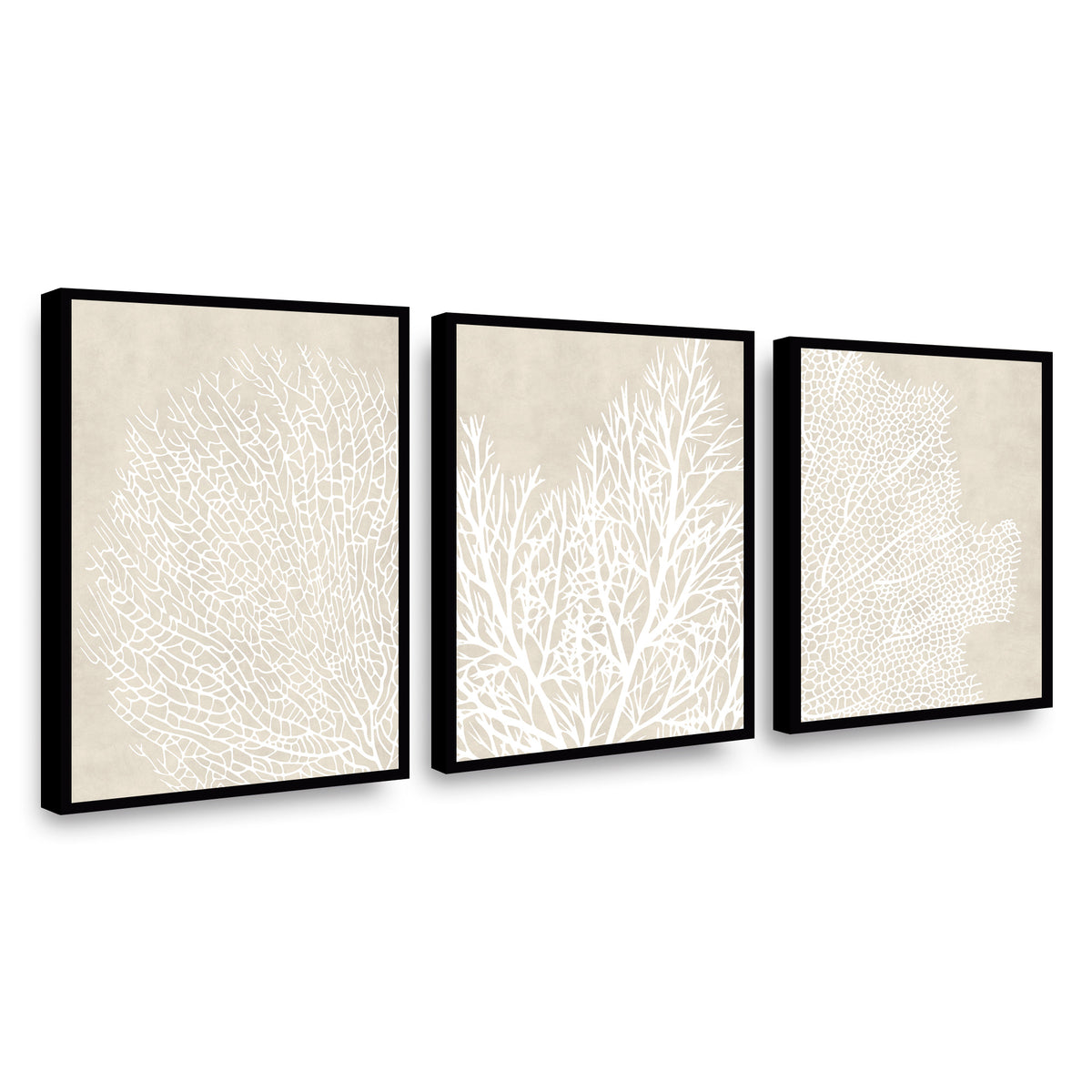 Canvas Trio Breathin