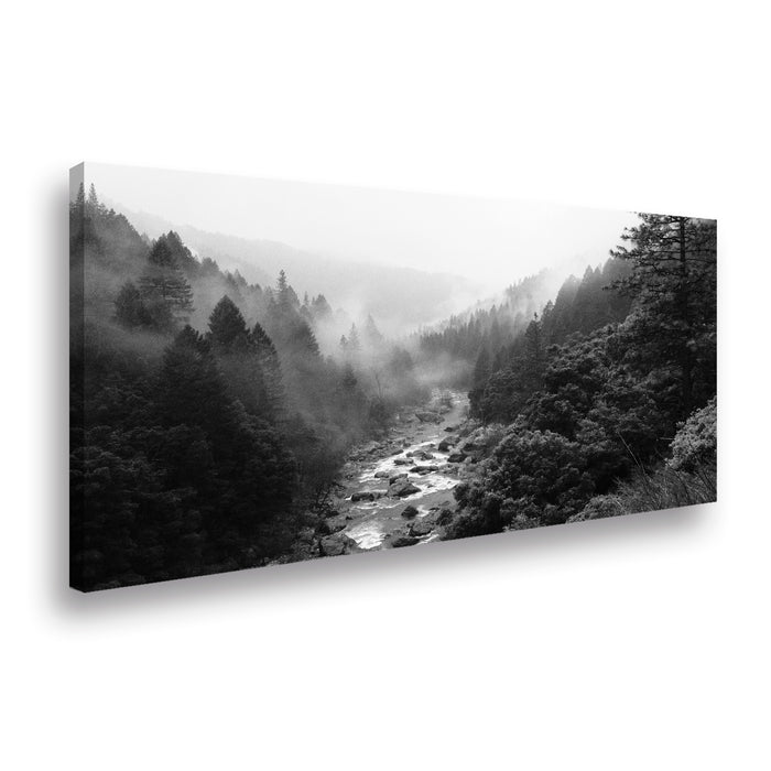 Canvas Woods