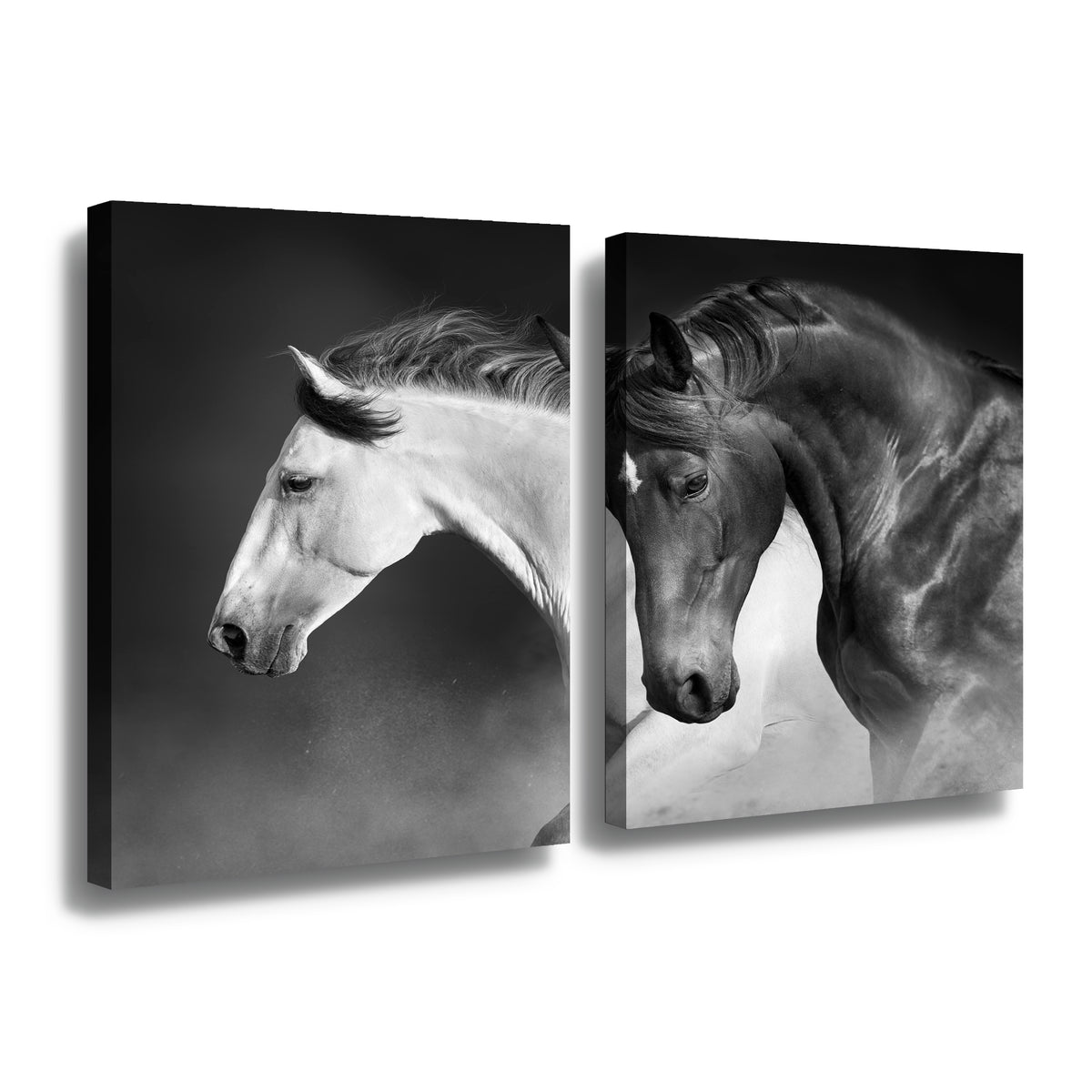 Canvas Modelo 707