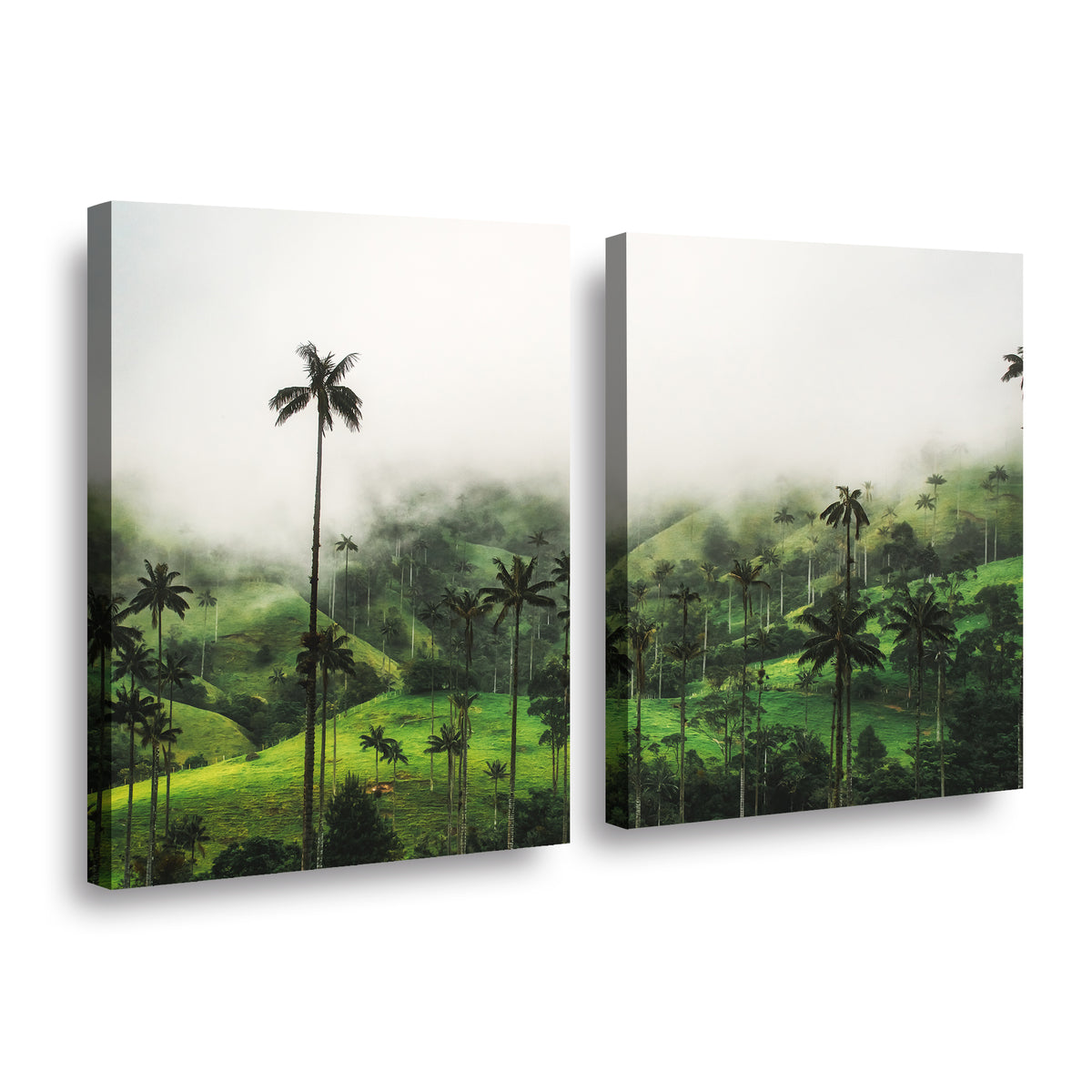 Canvas Modelo 729