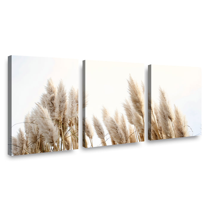 Canvas Modelo 622