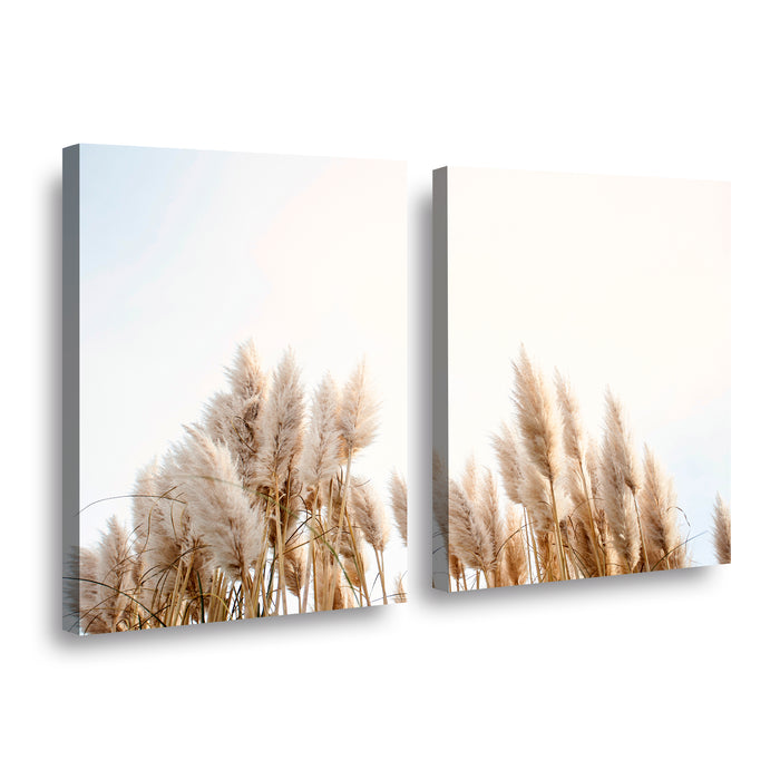 Canvas Modelo 730