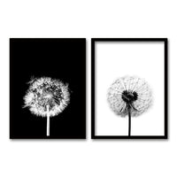 Cuadro Duo Dandelion