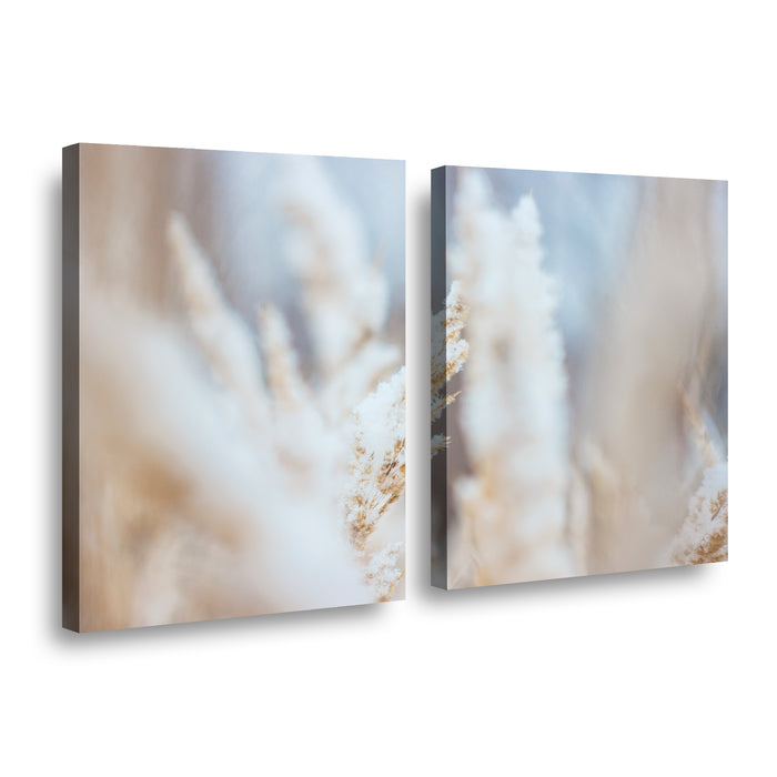 Canvas Modelo 743