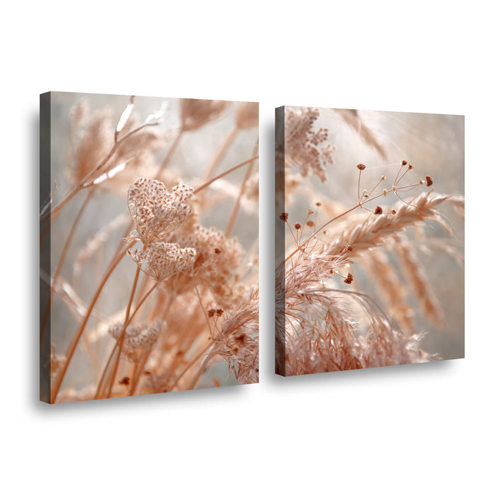 Canvas Modelo 751