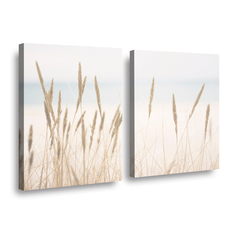 Canvas Modelo 708