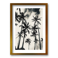 Cuadro Palmera Nocturna II
