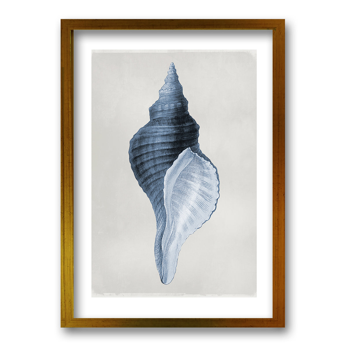 Cuadro Blue Shell