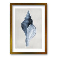 Cuadro Blue Shell