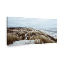 Canvas Modelo 367