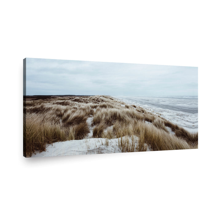 Canvas Modelo 367