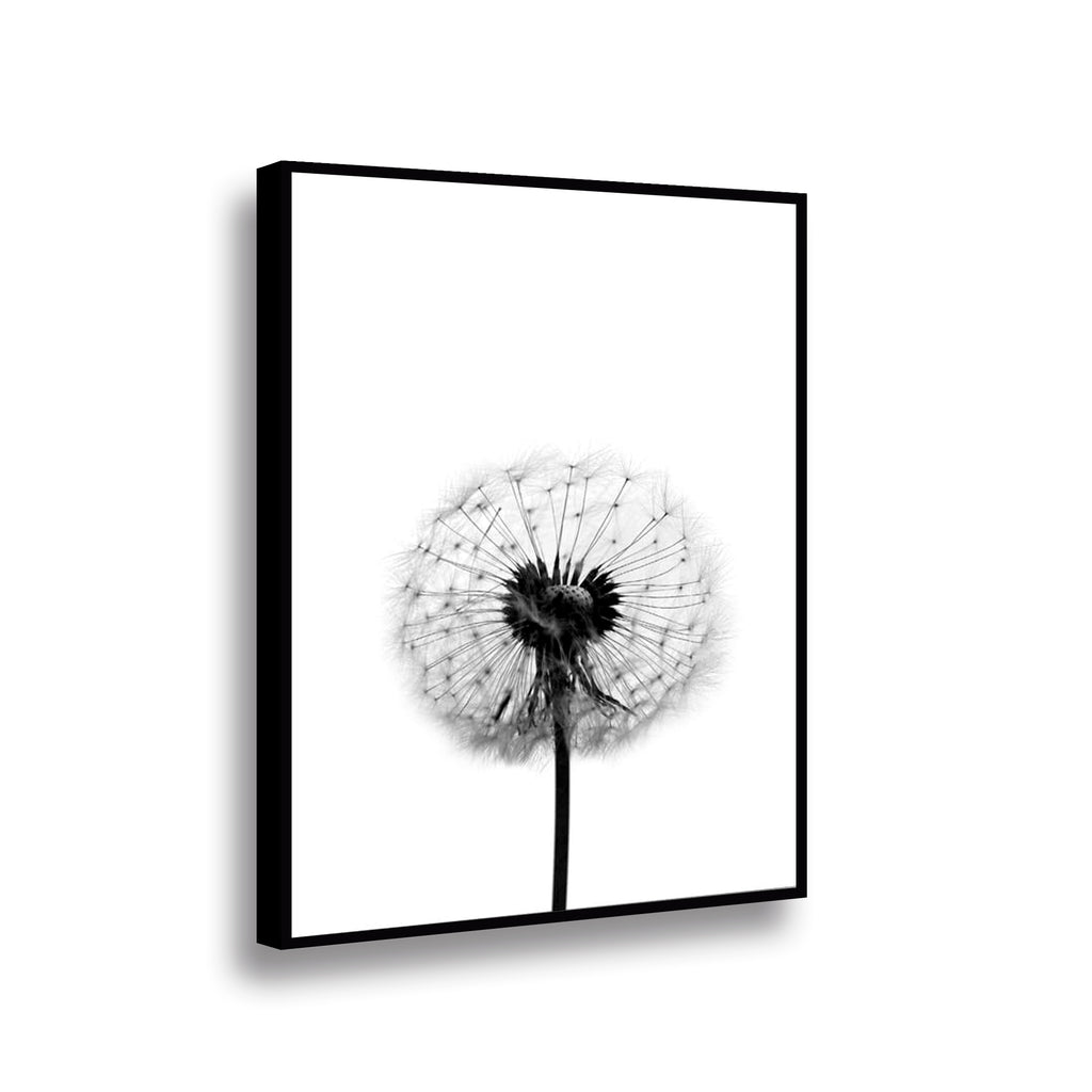 Canvas Flor de Leon B