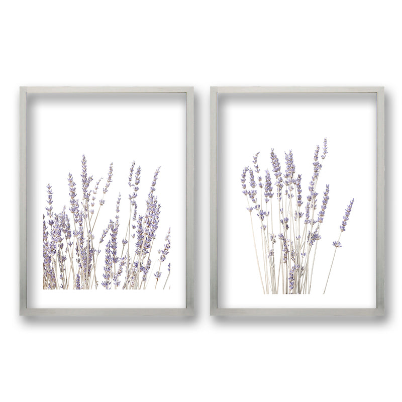 Cuadro Duo Jardín de Lavanda