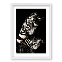 Cuadro Zebra B/N