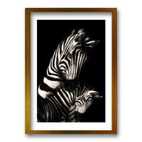 Cuadro Zebra B/N