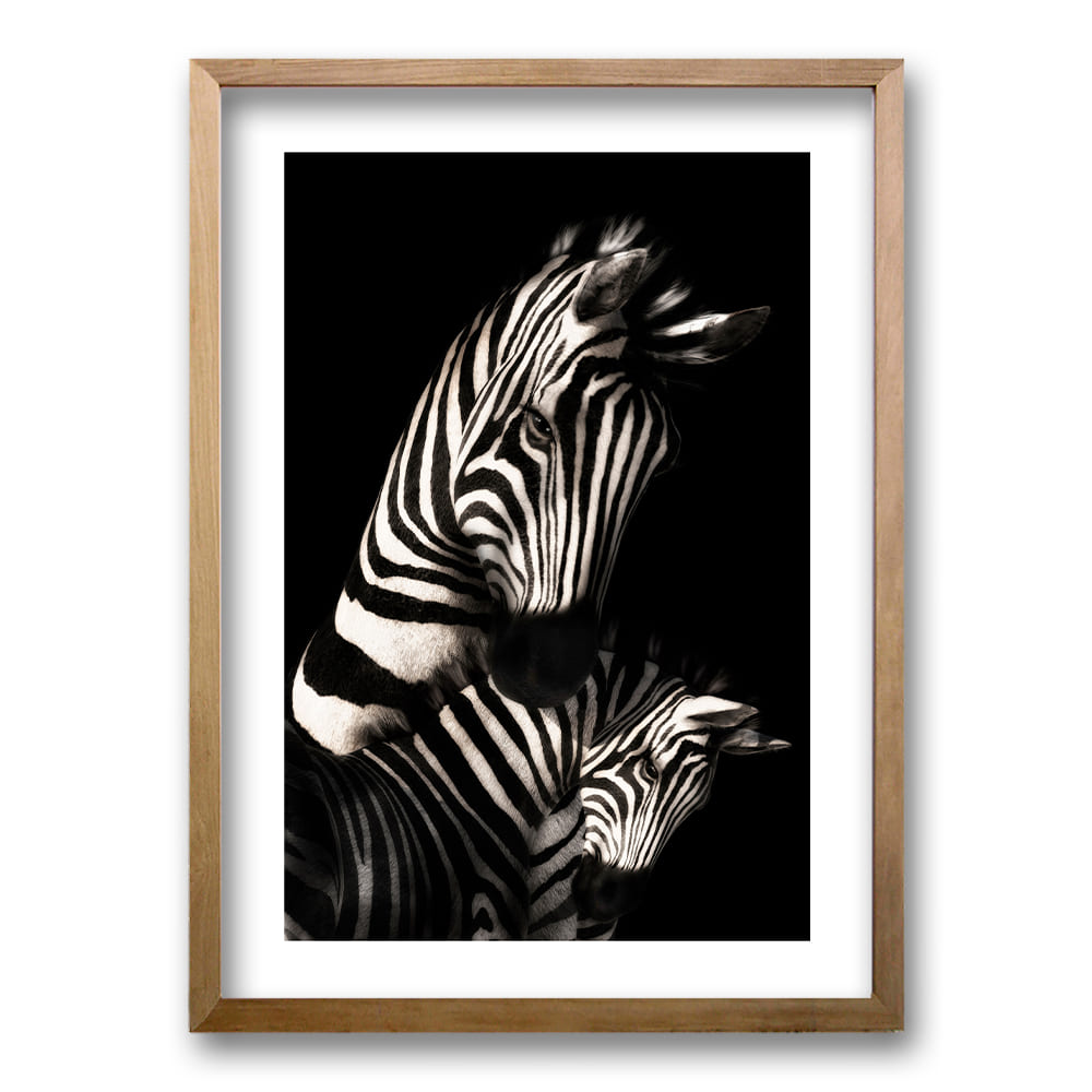 Cuadro Zebra B/N