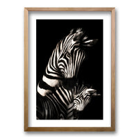 Cuadro Zebra B/N