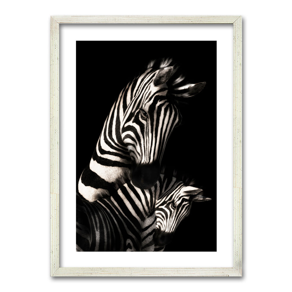Cuadro Zebra B/N
