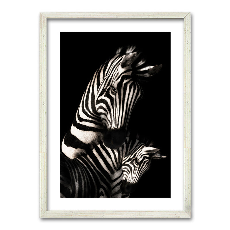 Cuadro Zebra B/N