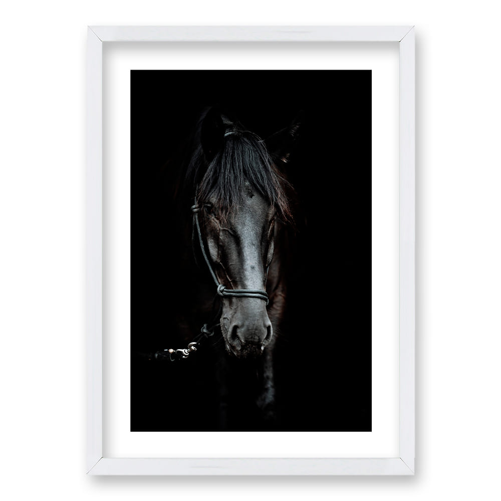 Cuadro Caballo B/N