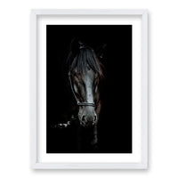 Cuadro Caballo B/N