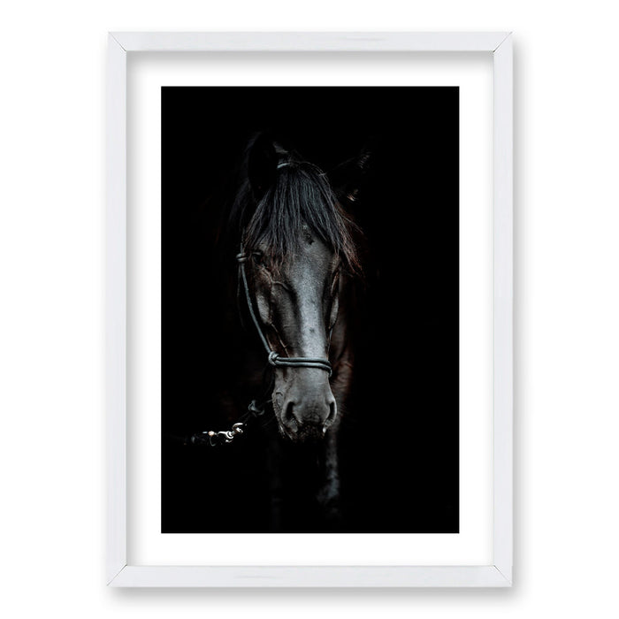 Cuadro Caballo B/N