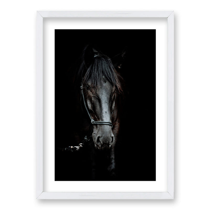 Cuadro Caballo B/N