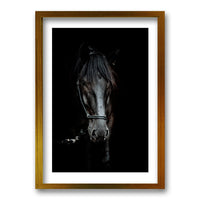 Cuadro Caballo B/N