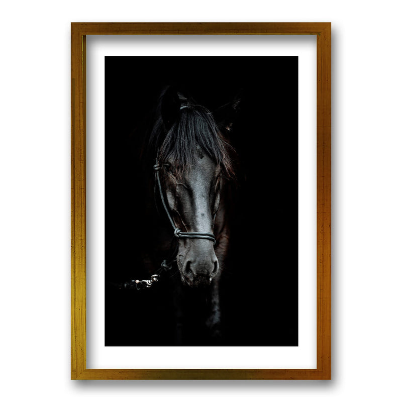 Cuadro Caballo B/N