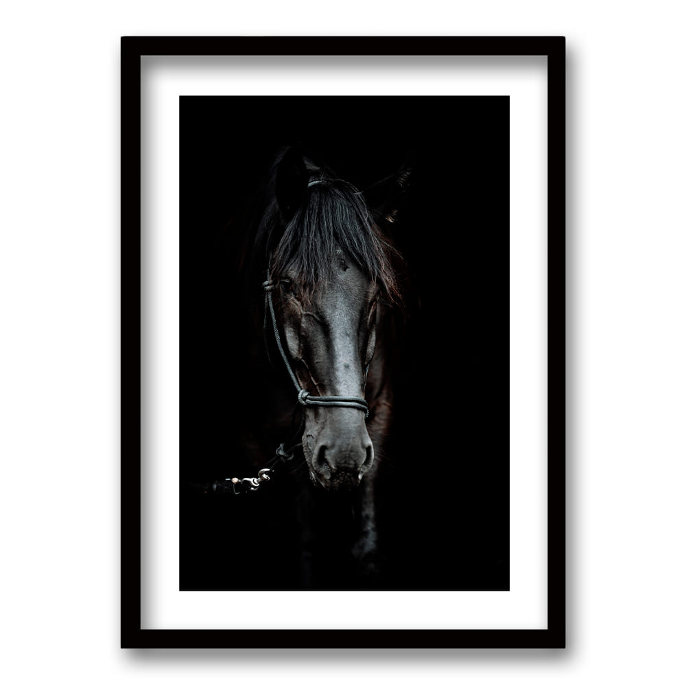 Cuadro Caballo B/N